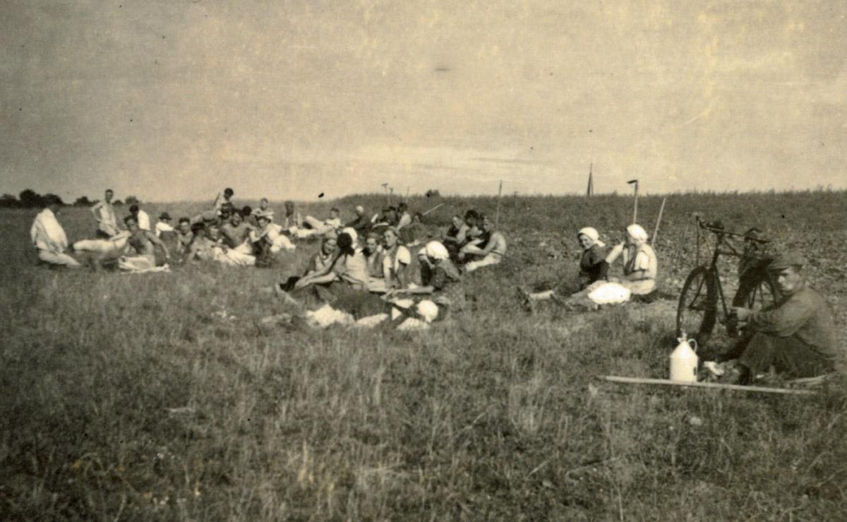 Seniorenbuch "Angerichtet", Kriegsfoto, Arbeitsmaiden bei der Rast, Privatbesitz