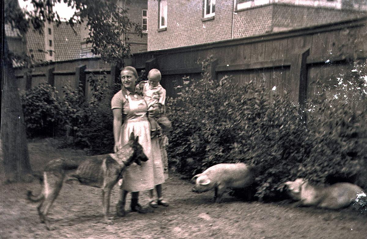 Seniorenbuch "Angerichtet ", Kriegsfoto Landleben mit Haustieren, Privatbesitz