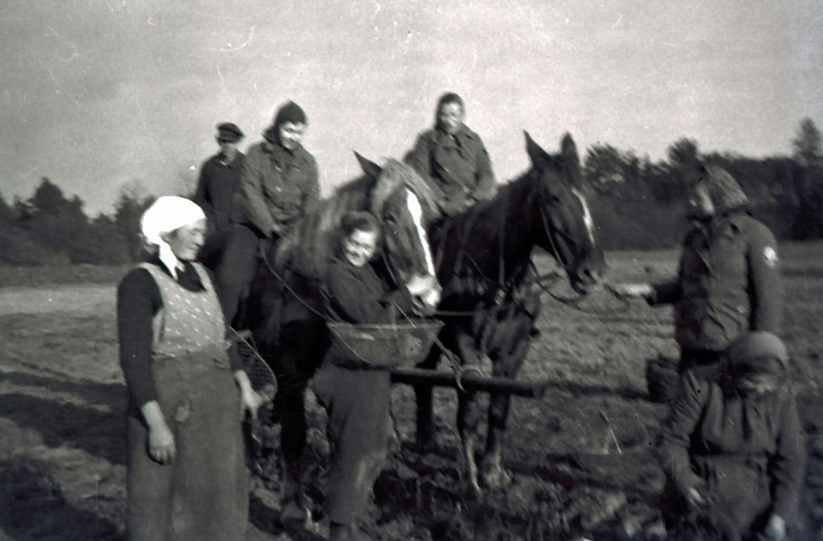 Seniorenbuch "Angerichtet", Kriegsfoto Arbeitsmaiden bei der Landarbeit, Privatbesitz